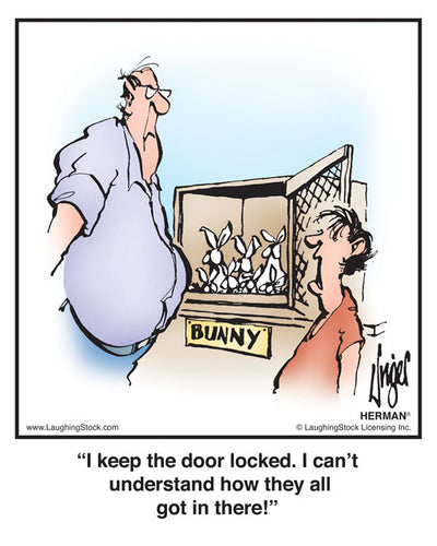 I keep the door locked. I can’t understand how they all got in there!