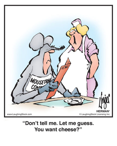 Don’t tell me. Let me guess. You want cheese?