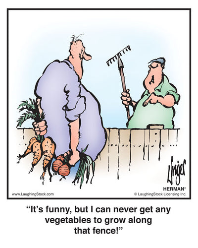 It’s funny, but I can never get any vegetables to grow along that fence!