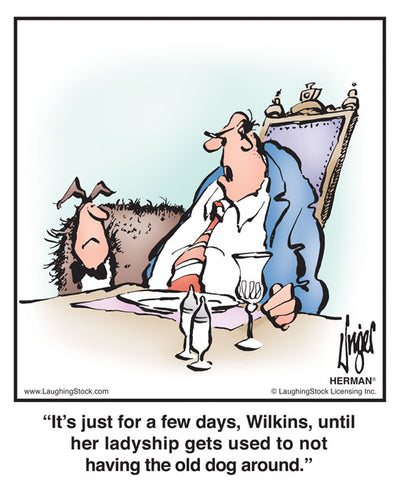 It’s just for a few days, Wilkins, until her ladyship gets used to not having the old dog around.