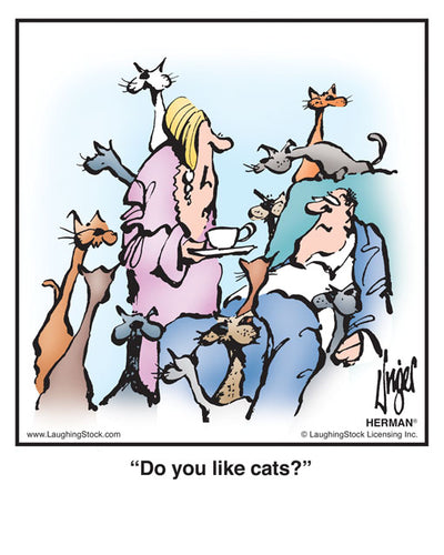 Do you like cats?