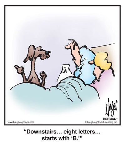 Downstairs… eight letters… starts with ‘B.’