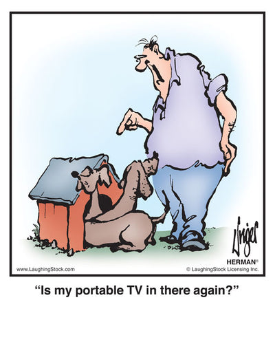 Is my portable TV in there again?