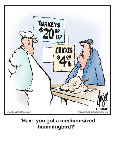 Have you got a medium-sized hummingbird?