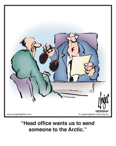 Head office wants us to send someone to the Arctic.