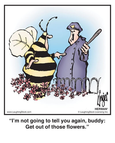 I’m not going to tell you again, buddy: Get out of those flowers.