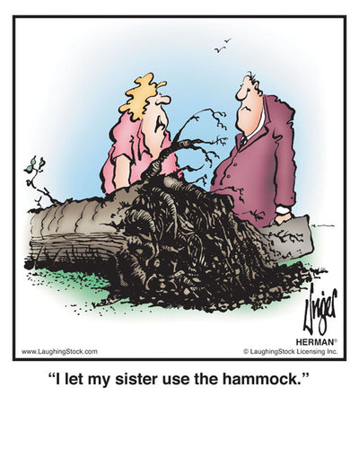 I let my sister use the hammock.