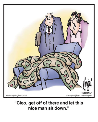 Cleo, get off of there and let this nice man sit down.