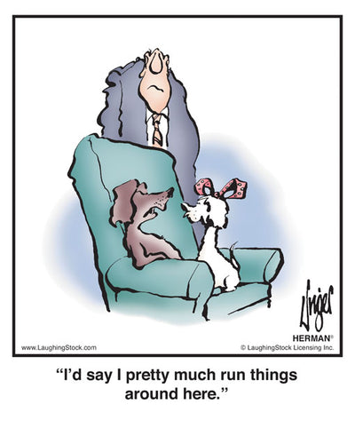 I’d say I pretty much run things around here.