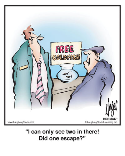 I can only see two in there! Did one escape?