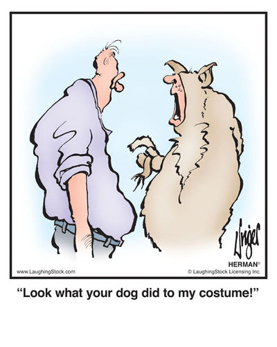 Look what your dog did to my costume!