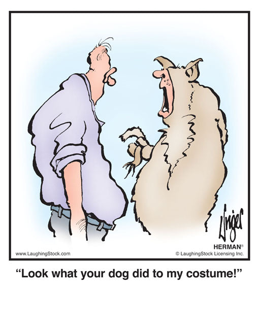 Look what your dog did to my costume!