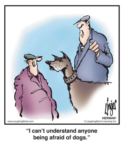 I can’t understand anyone being afraid of dogs.