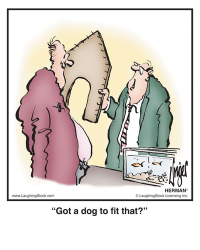 Got a dog to ﬁt that?