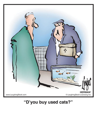 D’you buy used cats?