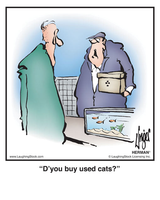 D’you buy used cats?