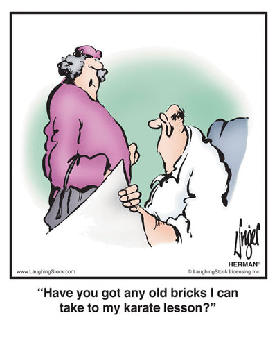 Have you got any old bricks I can take to my karate lesson?