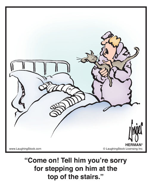 Come on! Tell him you’re sorry for stepping on him at the top of the stairs.