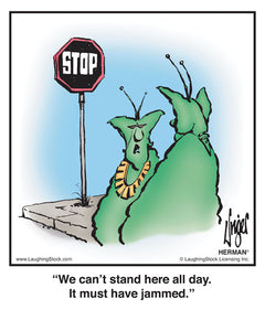 We can’t stand here all day. It must have jammed.