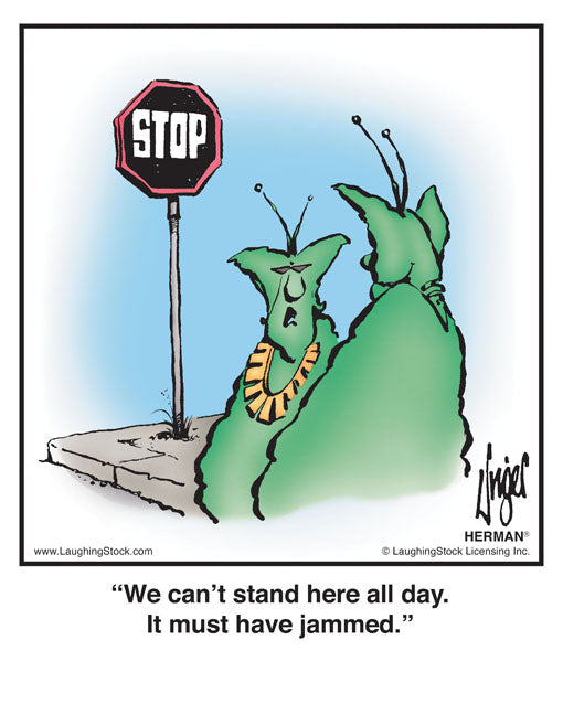 We can’t stand here all day. It must have jammed.