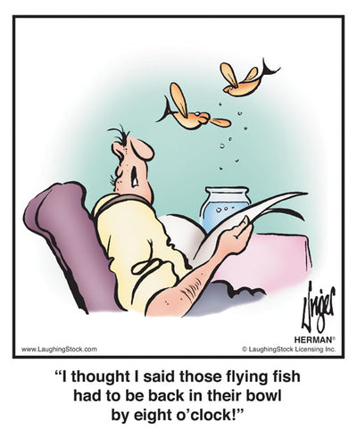 I thought I said those flying fish had to be back in their bowl by eight o’clock!