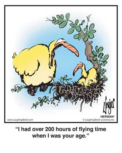 I had over 200 hours of flying time when I was your age.