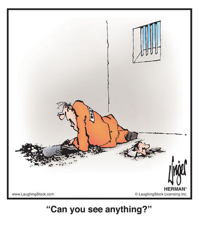 Can you see anything?