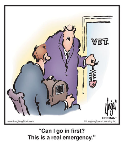 Can I go in first? This is a real emergency.