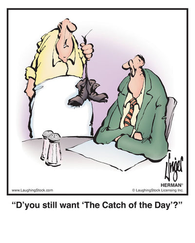 D’you still want ‘The Catch of the Day’?