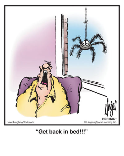 Get back in bed!!!