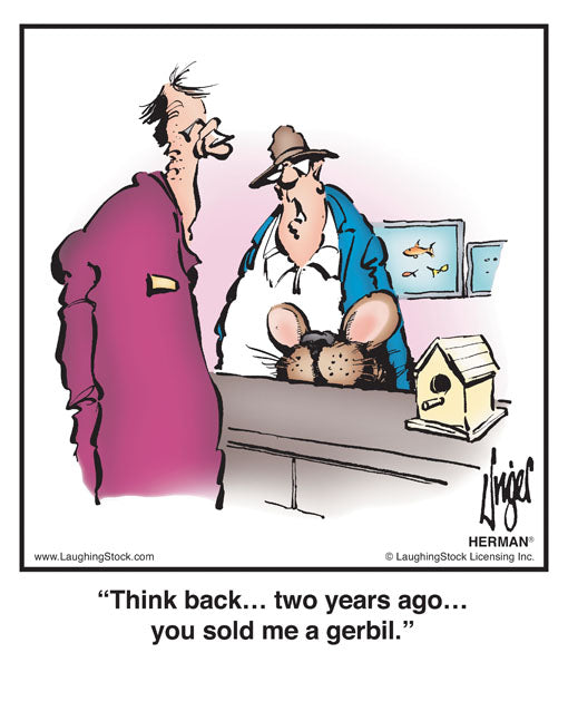 Think back… two years ago… you sold me a gerbil.