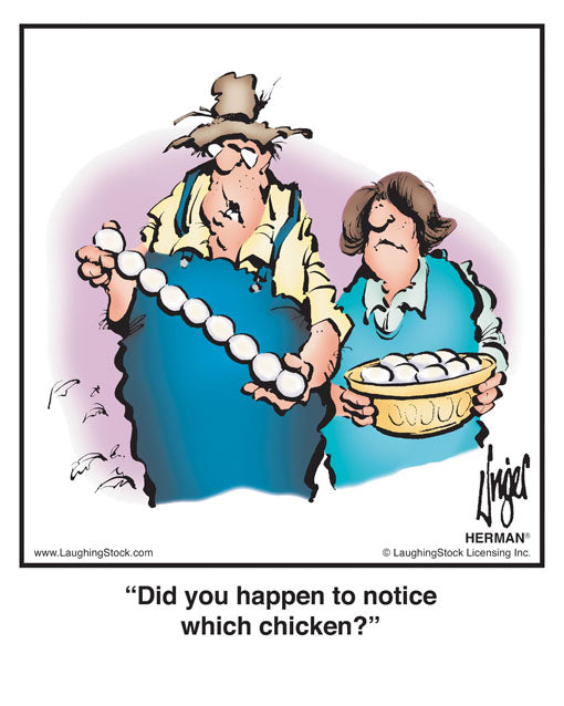 Did you happen to notice which chicken?