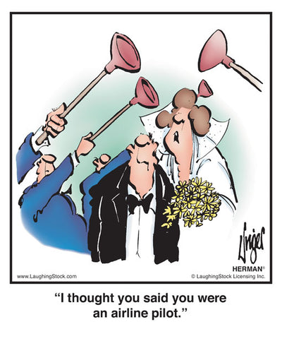 I thought you said you were an airline pilot.