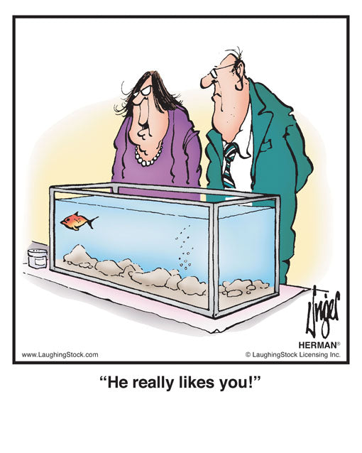 He really likes you!