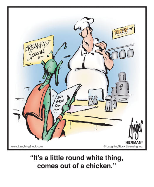 It’s a little round white thing, comes out of a chicken.