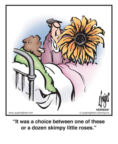 It was a choice between one of these or a dozen skimpy little roses.