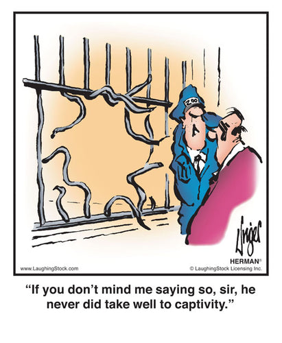 If you don’t mind me saying so, sir, he never did take well to captivity.