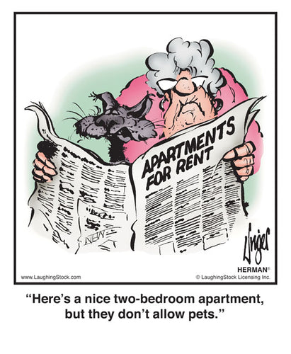 Here’s a nice two-bedroom apartment, but they don’t allow pets.