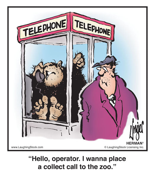 Hello, operator. I wanna place a collect call to the zoo.
