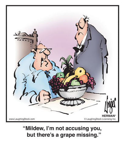 Mildew, I’m not accusing you, but there’s a grape missing.