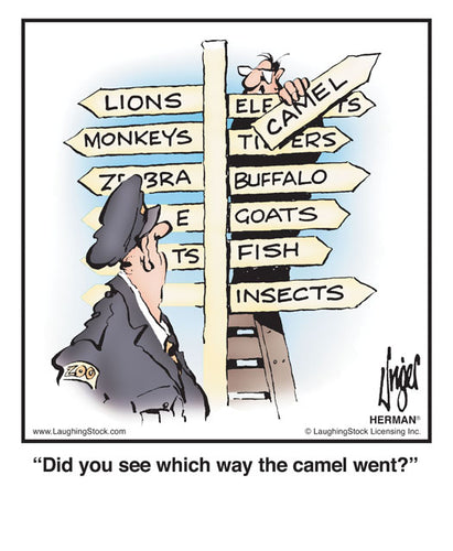 Did you see which way the camel went?
