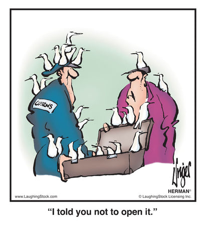 I told you not to open it.