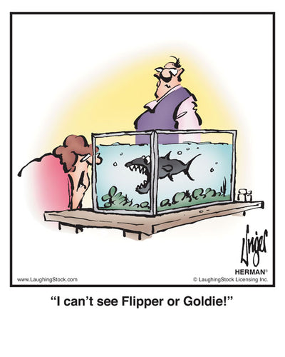 I can’t see Flipper or Goldie!