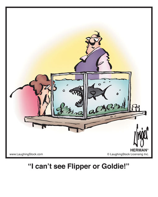 I can’t see Flipper or Goldie!
