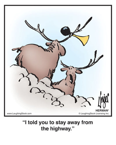 I told you to stay away from the highway.