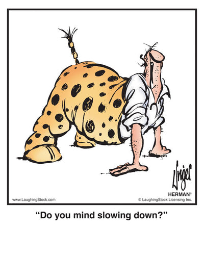 Do you mind slowing down?
