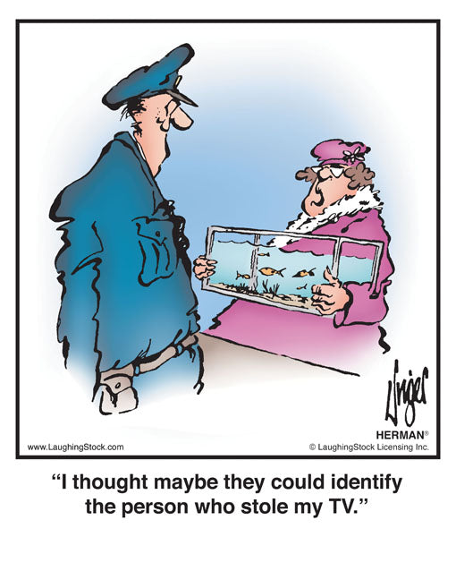 I thought maybe they could identify the person who stole my TV.