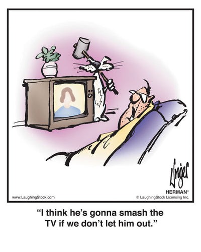 I think he’s gonna smash the TV if we don’t let him out.