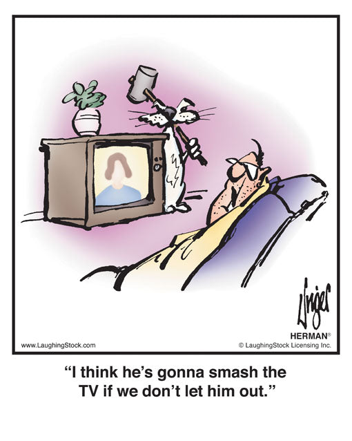 I think he’s gonna smash the TV if we don’t let him out.