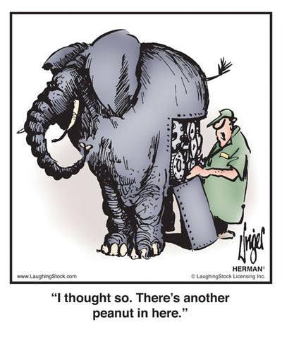 I thought so. There’s another peanut in here.